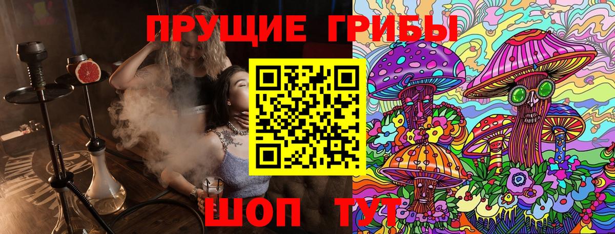 Галлюциногенные грибы GOLDEN TEACHER Егорьевск