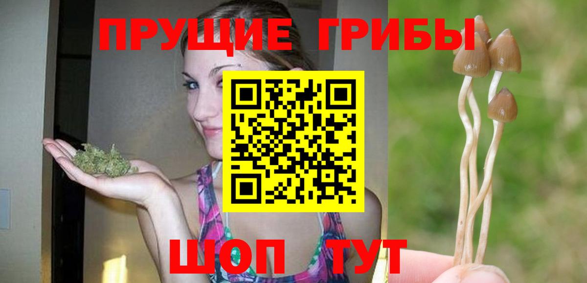 Галлюциногенные грибы Cubensis  Вход с VPN  Егорьевск 